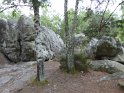 2018-05-24 14-56-33  Rando Fontainebleau FGn